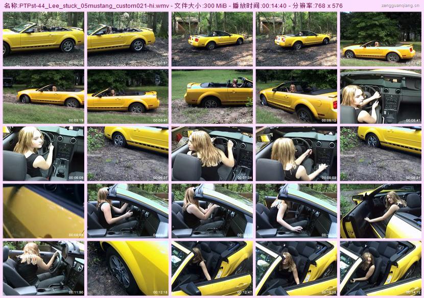 ptpst-44_Lee_stuck_05mustang_custom021